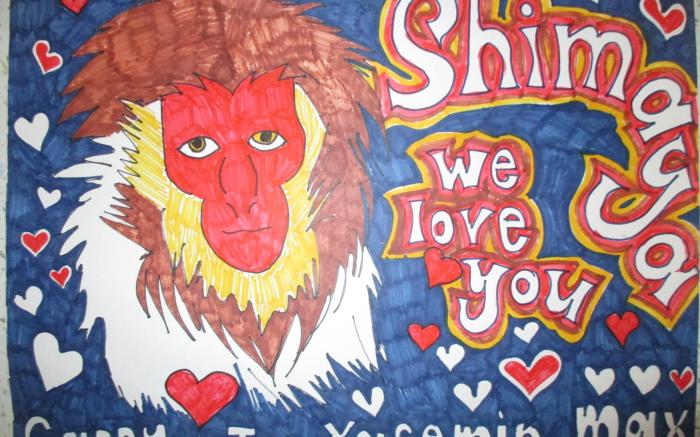 Yudanaka Onsen Shimaya