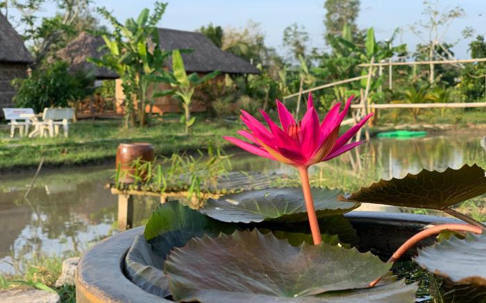 Mekong Daniel Resort (Bungalow4)