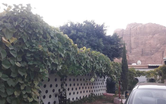 Wadi Rum Village Lodge