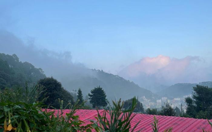 Just Naturals Wellness Resort Nainital