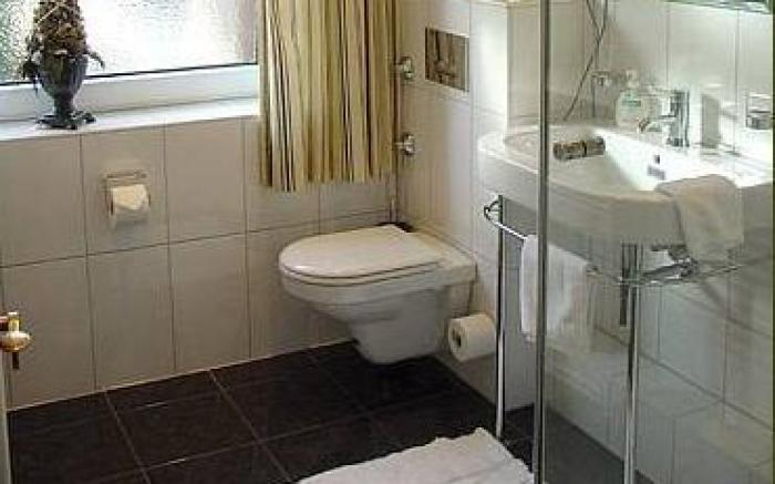 Hotel Zum Alten Brunnen