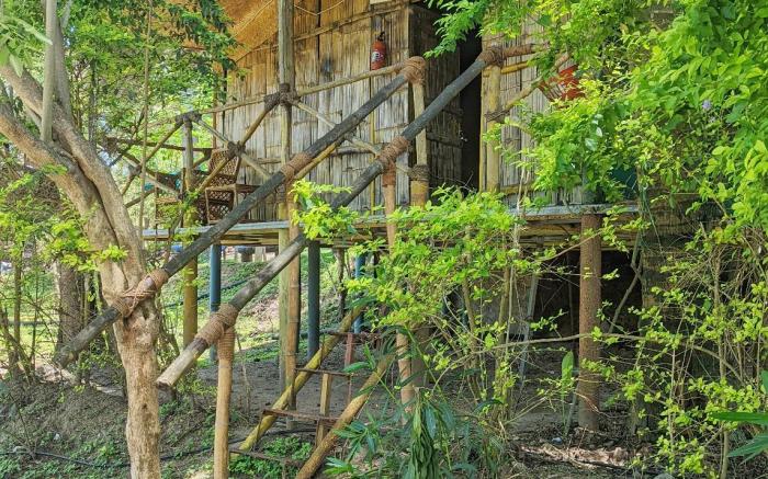 Jungle Paradise Farm and Guest House