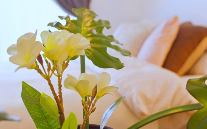 MK.10mins walk to Manzamo beach.Nearby Blue cave.