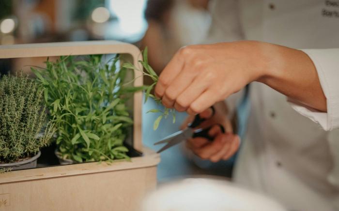 JW Marriott Hotel Frankfurt