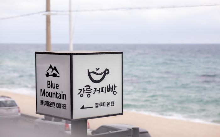 Gangreung Blue mountain pension