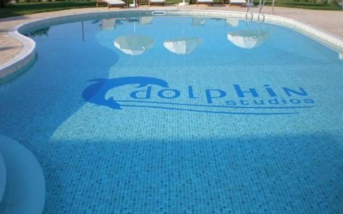 Dolphin Kastraki Studios