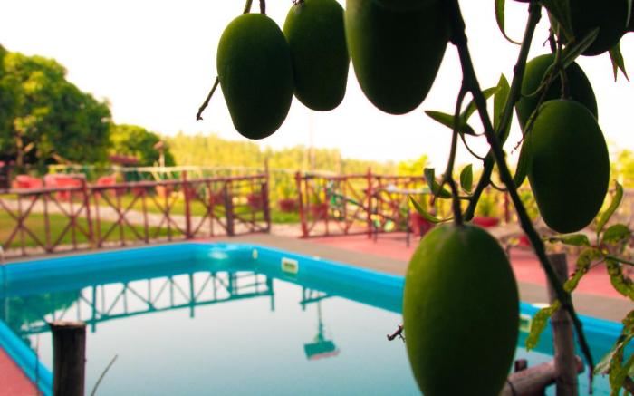 Forest Bliss Resort