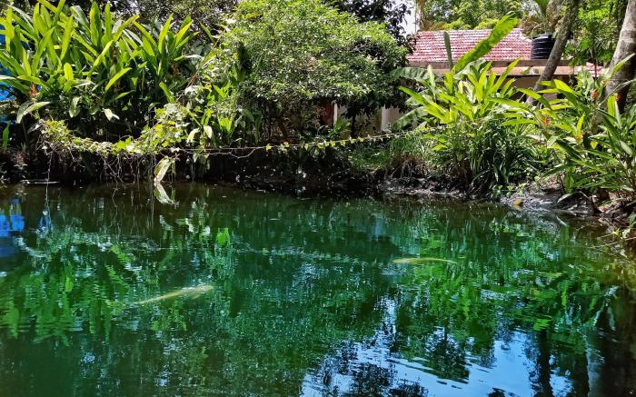 Marari Bethsaida Homestay