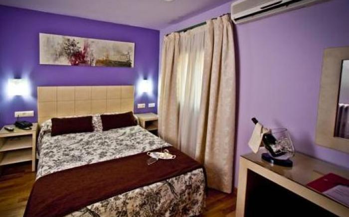 Hotel Condes de Castilla