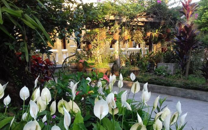 Ciel Homestay in Hue 