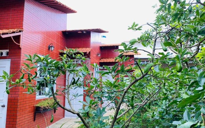 PaPa Coffee & Homestay