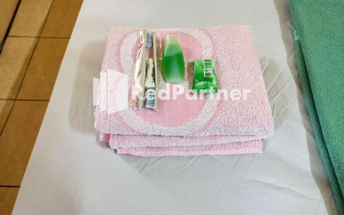 Hotel Anita Baturaden Mitra RedDoorz