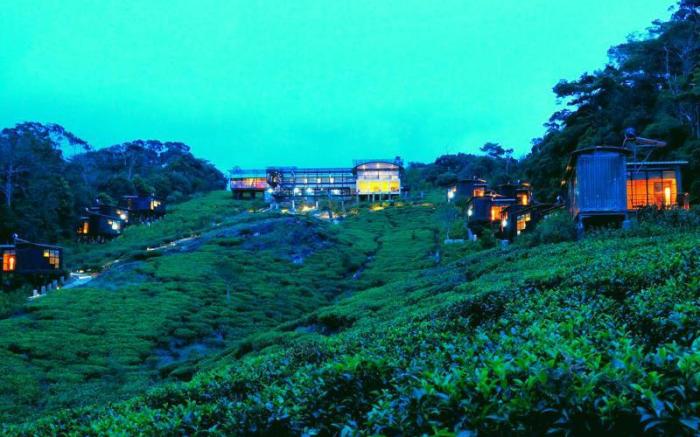 The Rainforest Ecolodge