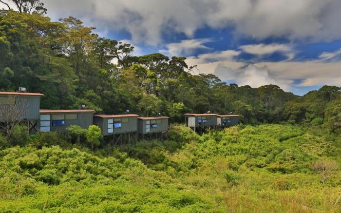 The Rainforest Ecolodge
