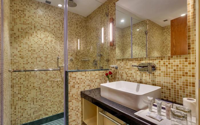 Golden Tulip New Delhi - Hari Nagar