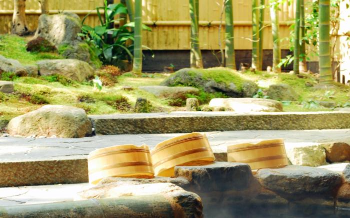 Arima Onsen Taketoritei Maruyama Ryokan