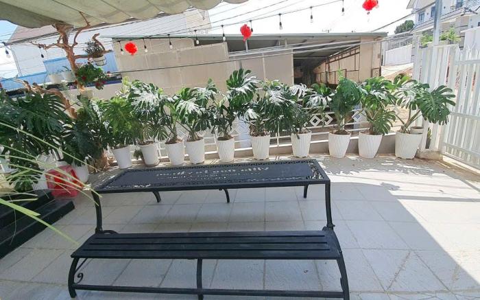 Villa Dâu Tây Hồng