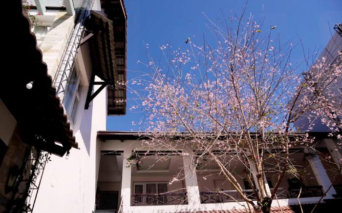 Hoang Loc Villa Hotel