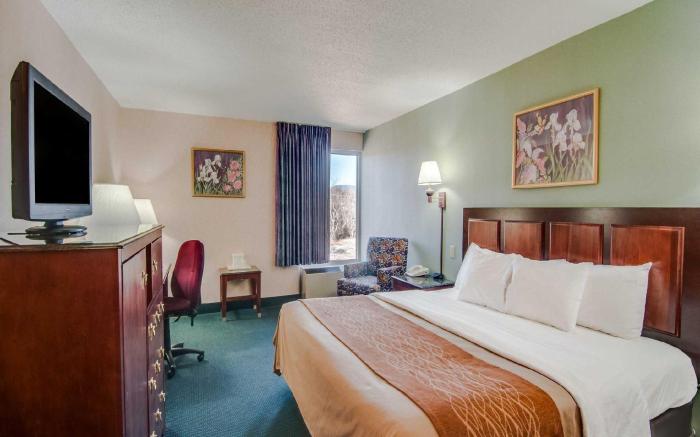 Comfort Inn Virginia Horse Center