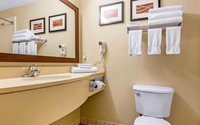Quality Inn Greenville near University
