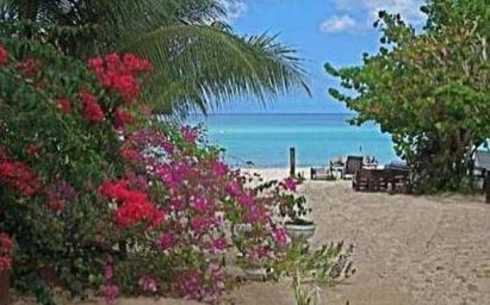 Secret Cabins at Firefly Beach Cottage