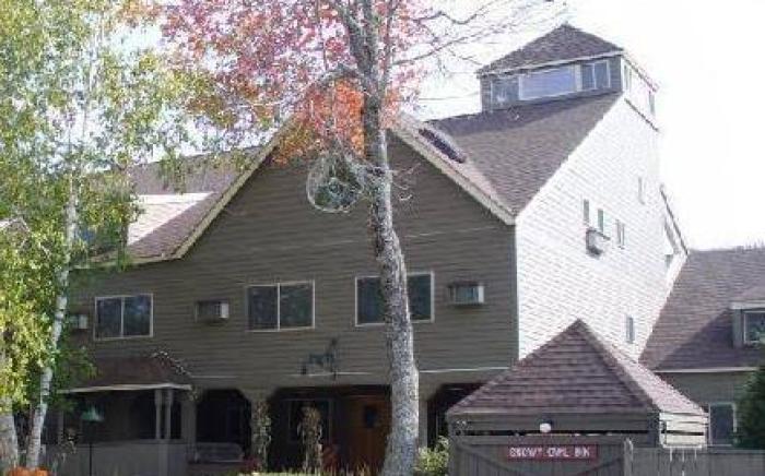 Snowy Owl Inn
