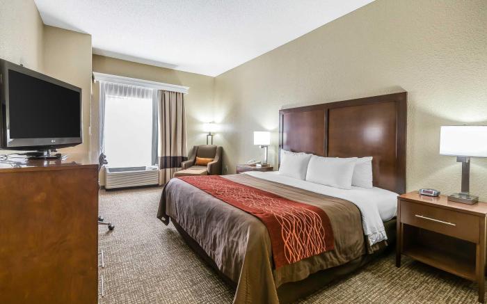 Comfort Inn South