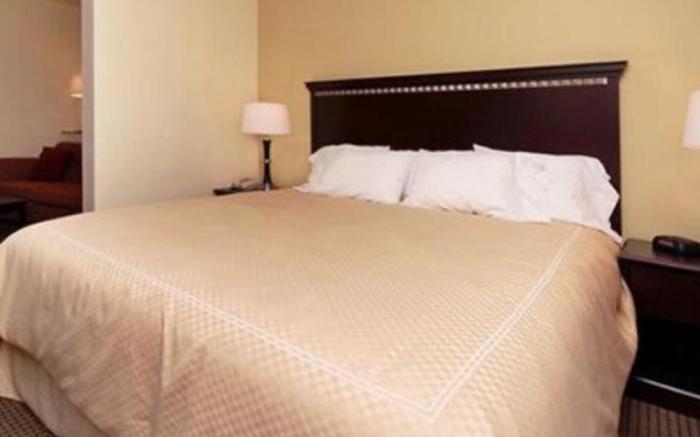 Comfort Suites University