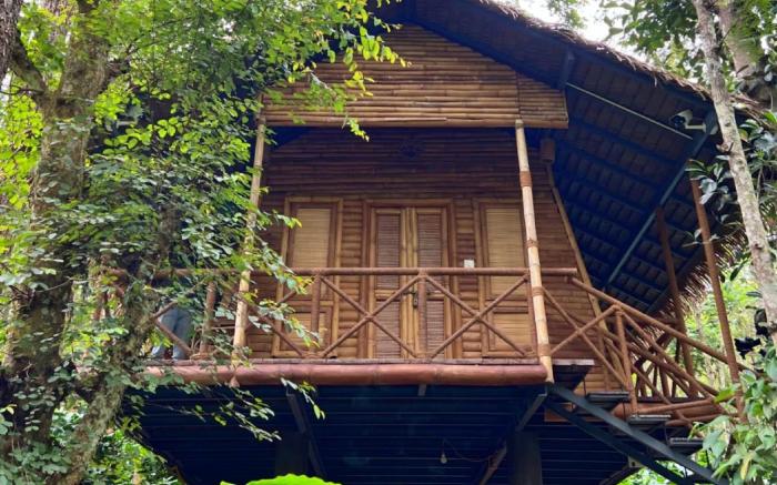 Adrak Mountain Mist Forest Resort