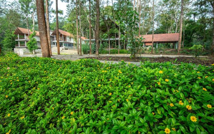 Birchwood Retreat 