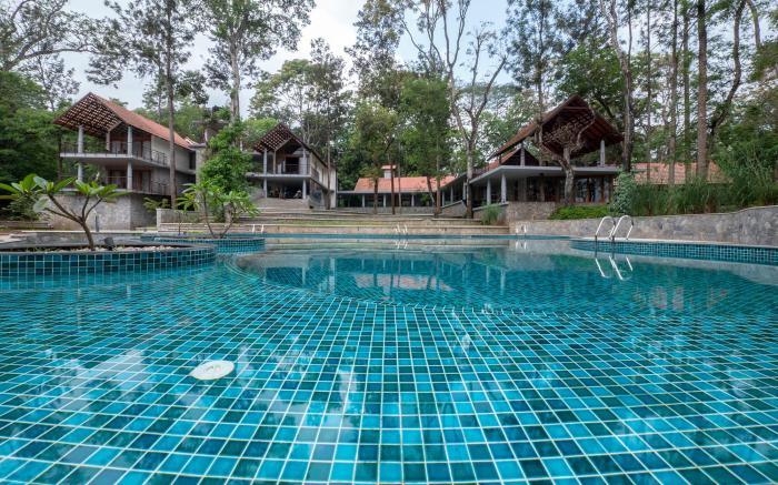Birchwood Retreat 