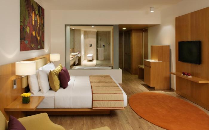 Radisson Blu Plaza Hotel Hyderabad Banjara Hills