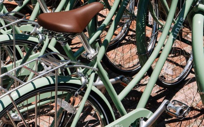 Le Petit Pali at 8th Ave