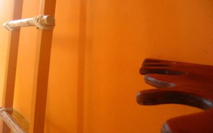 Tribu Hostel