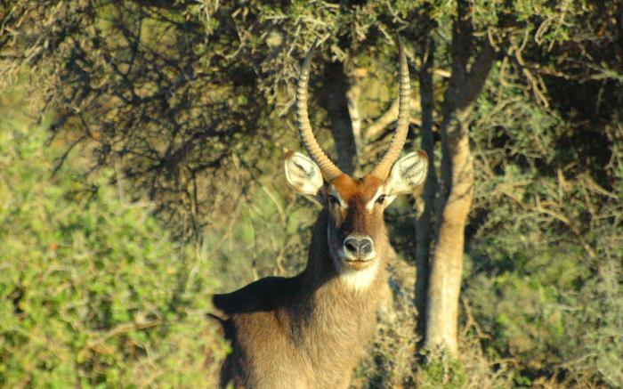 Valley Bushveld Country Lodge
