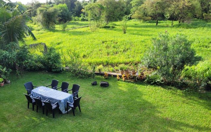 Sarovar's Nest