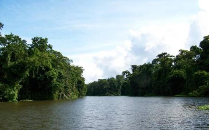 Hotel El Icaco Tortuguero