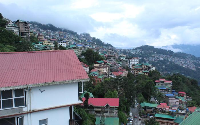 Hotel Leo International