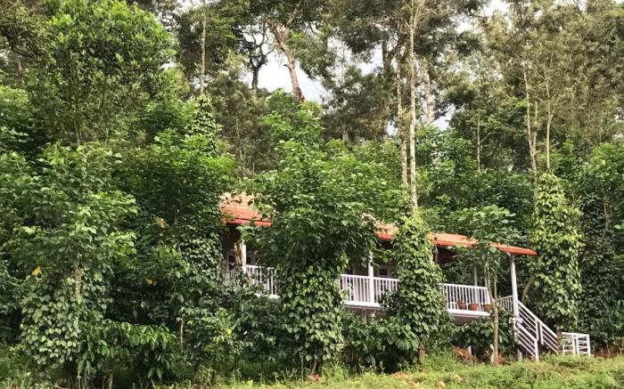 Green Turfs Farmstay- A cozy 2 bedroom cottage