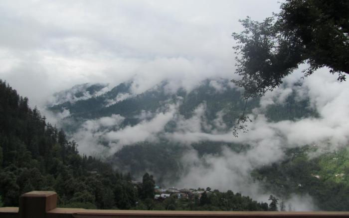 Mozo - Tree House Hostel Jibhi