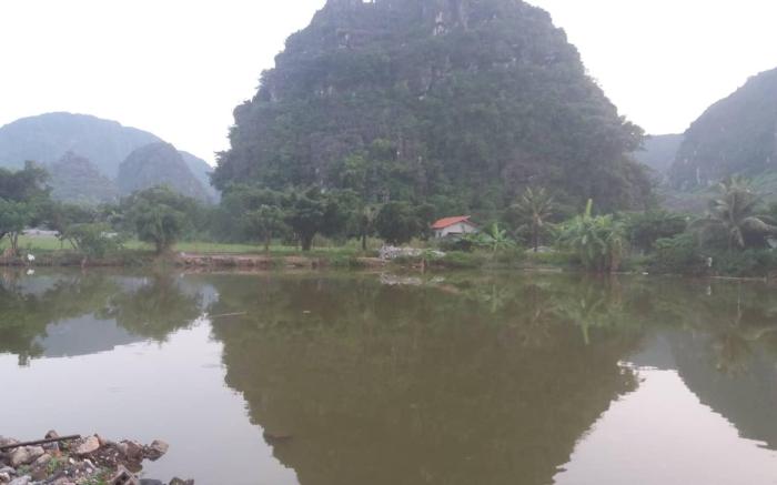 Ali Homestay Ninh Binh