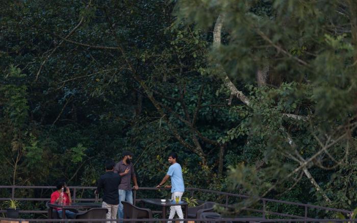 Avadale Thekkady