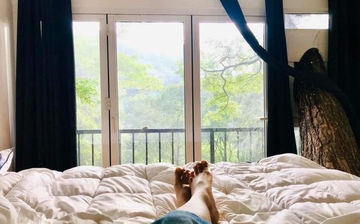 Tree Nature Resort