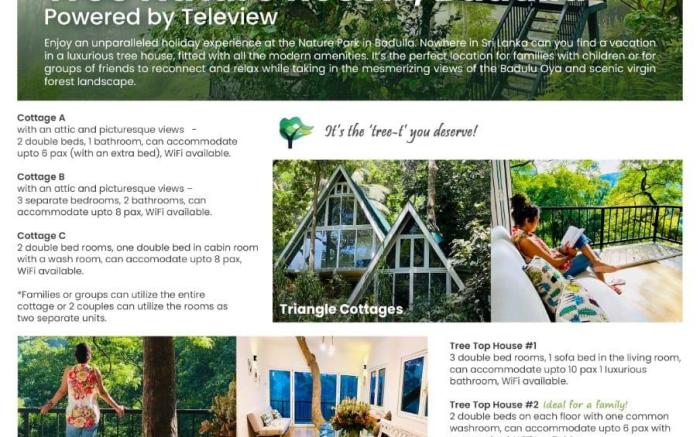Tree Nature Resort