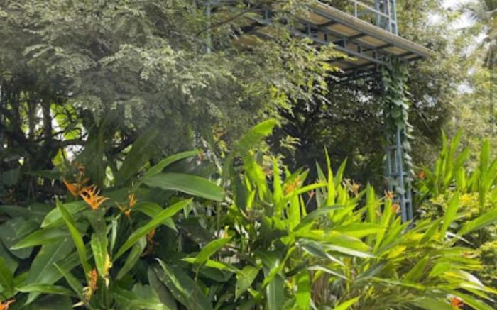 Rain Homestay