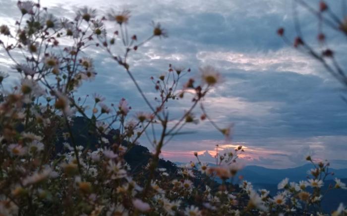 Dม่อนดูดาวโฮมสเตย์ม่อนแจ่ม