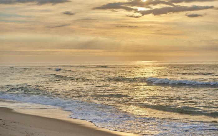 Drifting Sands