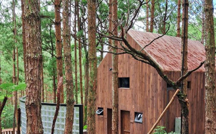 Mơ Stay - Forest Resort