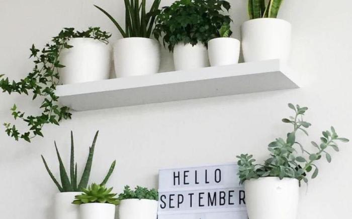 Villa 5bedroom-  BÃI DÀI Beach