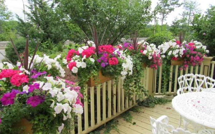 Bedham Hall B&B